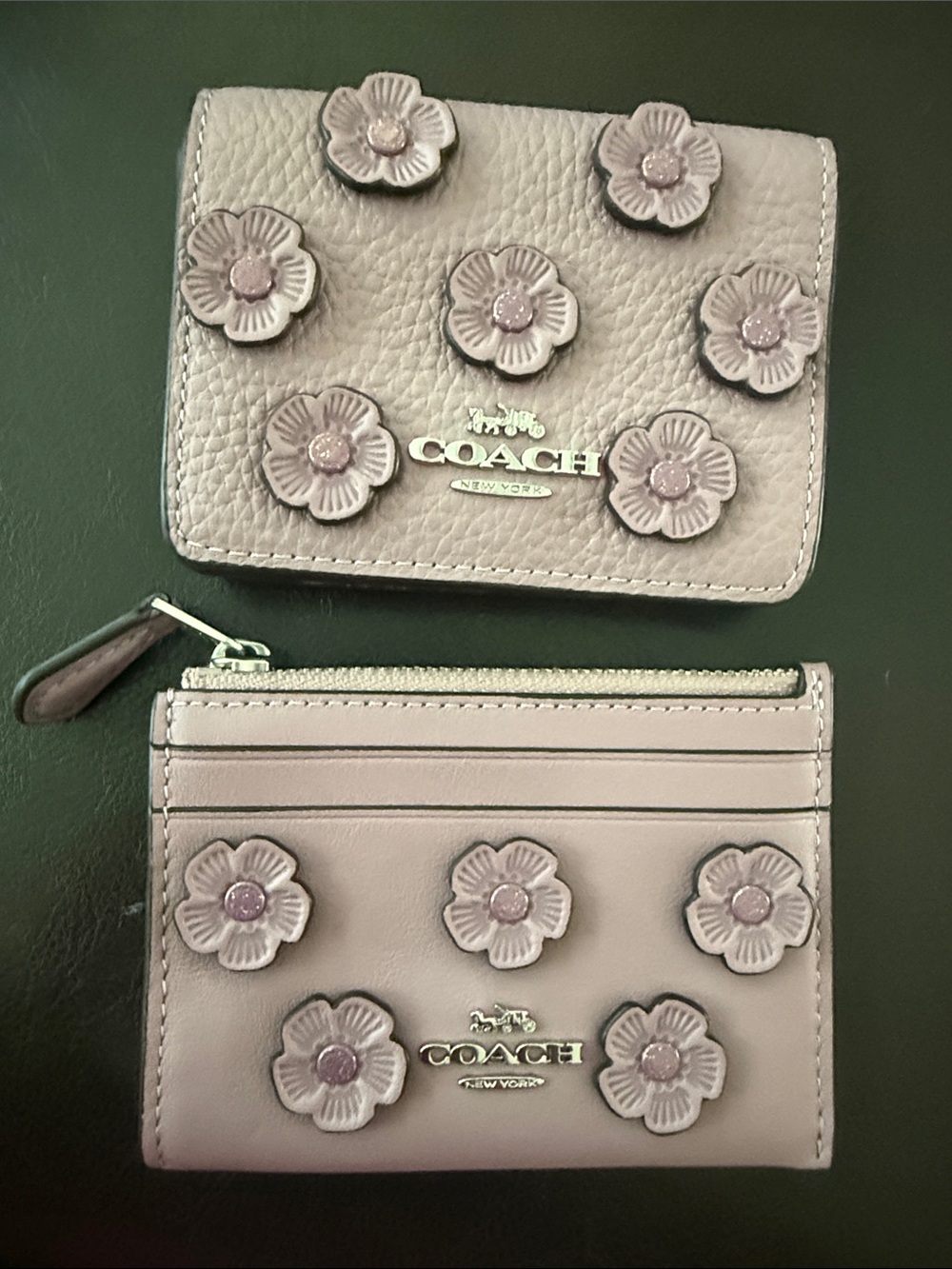 Coach Flower Appliqué Mini Wallet and Skinny Card Case